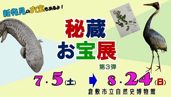 倉敷市立自然史博物館秘蔵お宝展第3弾