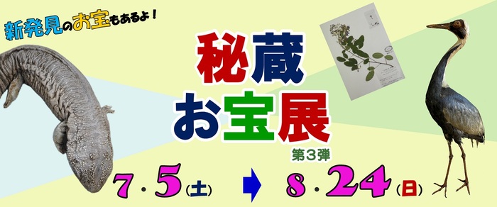 特別企画展「倉敷市立自然史博物館秘蔵お宝展　第3弾」 のバナー画像