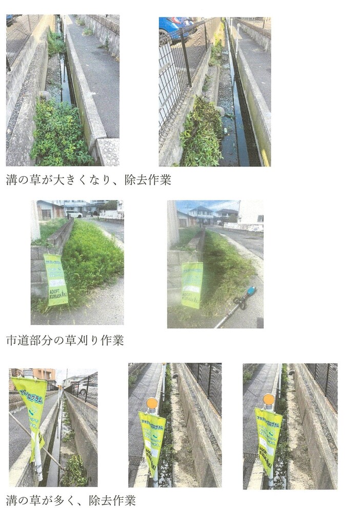 中島をきれいにする会写真