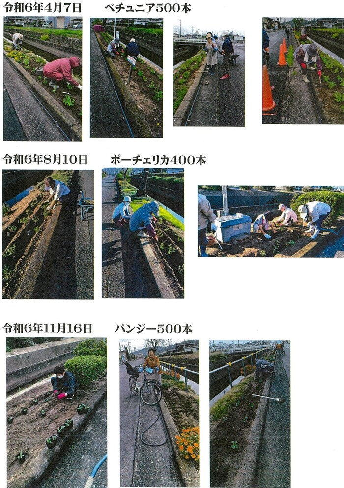 すみれ会写真