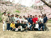 写真：桃の花の下の国際交流会1