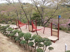 写真：冒険の森3