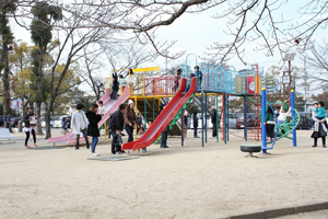 写真：可愛く塗られた遊具