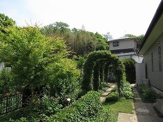 写真：緑のアーチ