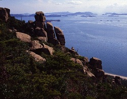 花こう岩－倉敷市新割山の写真