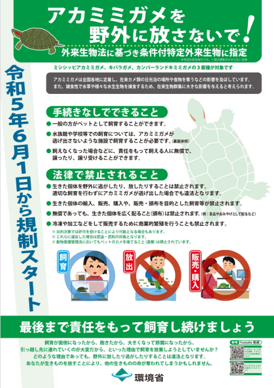 チラシの写真：アカミミガメチラシ