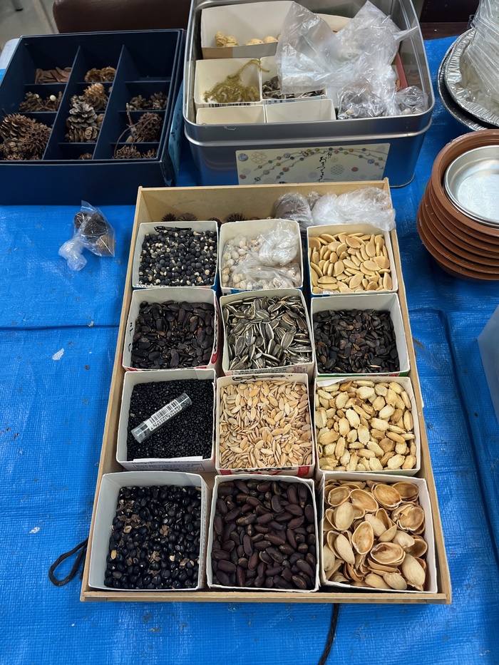 材料として用意された自然素材（木の実、タネなど）