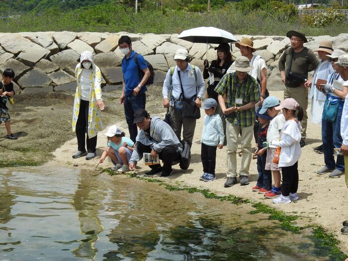 海藻の観察の様子