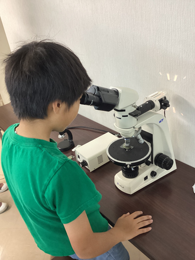 金鉱石を偏光反射顕微鏡で観察している様子の写真