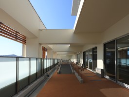 写真：屋上リハビリ庭園