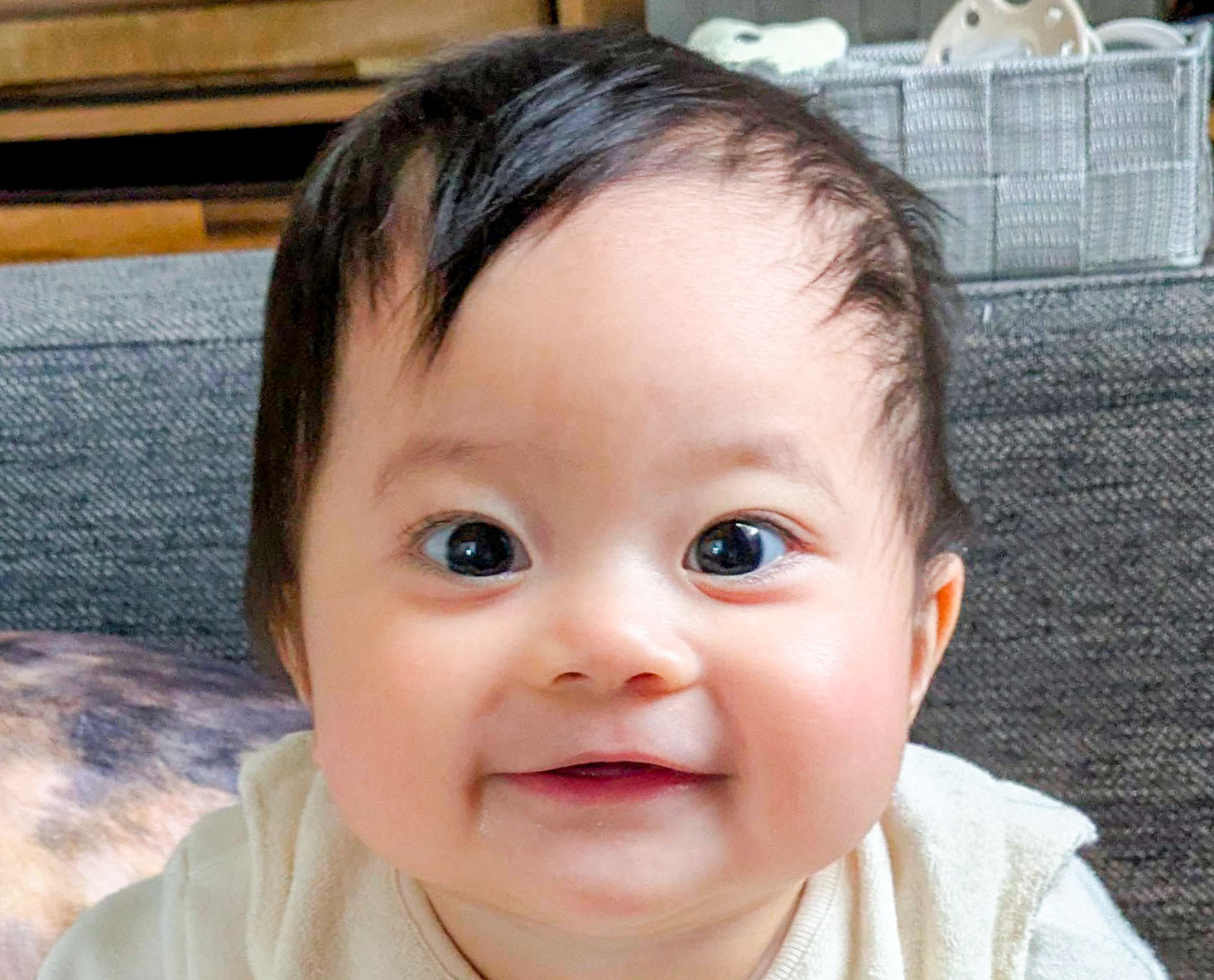 吉村 めいちゃんの写真