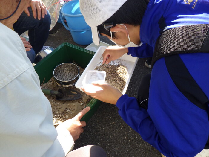 マイクロプラスチック調査の様子