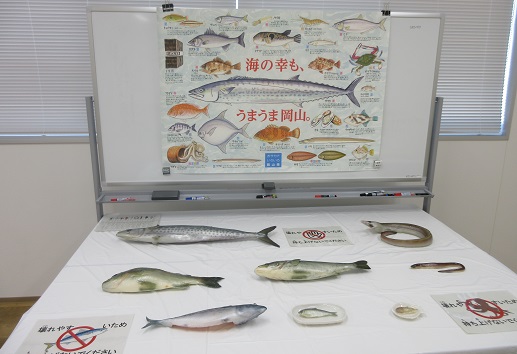 魚展示