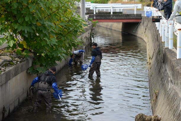 写真：清掃活動の様子5