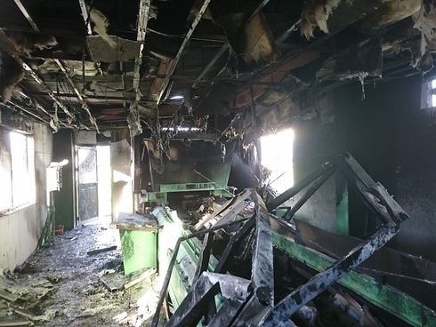 fired 1