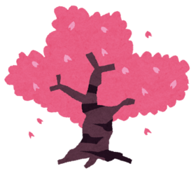 桜のイラスト