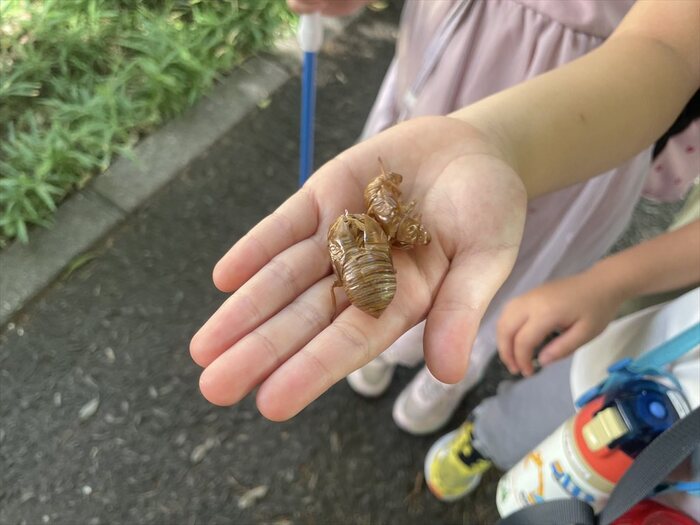 当日のようす2