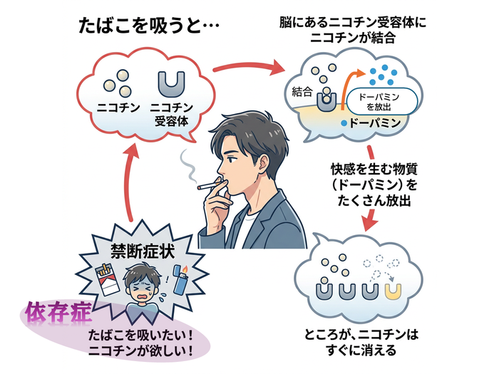 ニコチン依存の仕組み