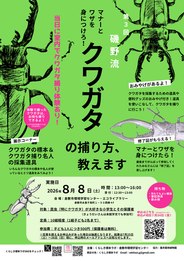 クワガタの捕り方、教えます