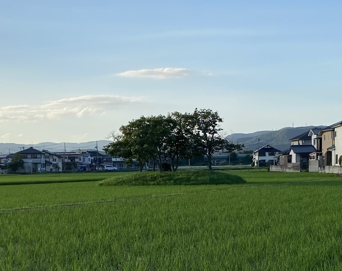 岡山大学の植物コレクション