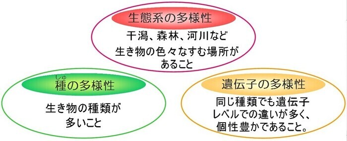 イラスト:生物多様性の説明図