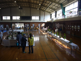 天城文化展全景