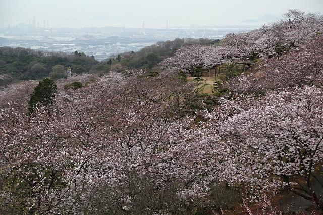 山頂広場の遠望