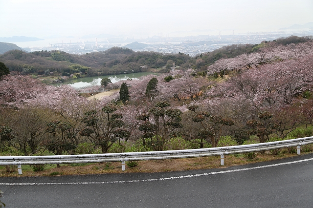 通路からの遠望