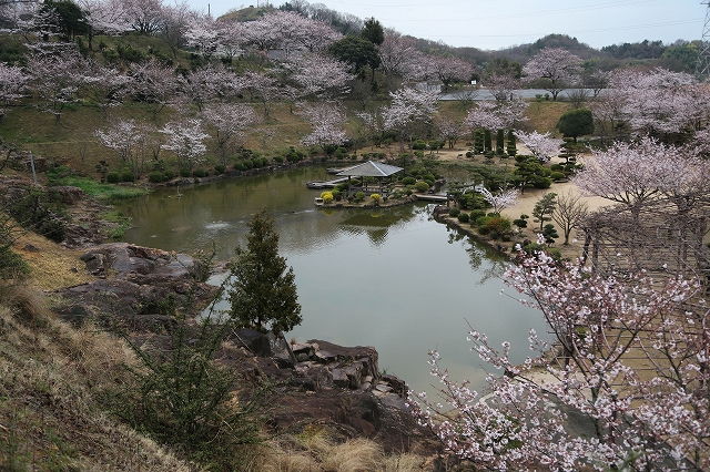 庭園風の修景池