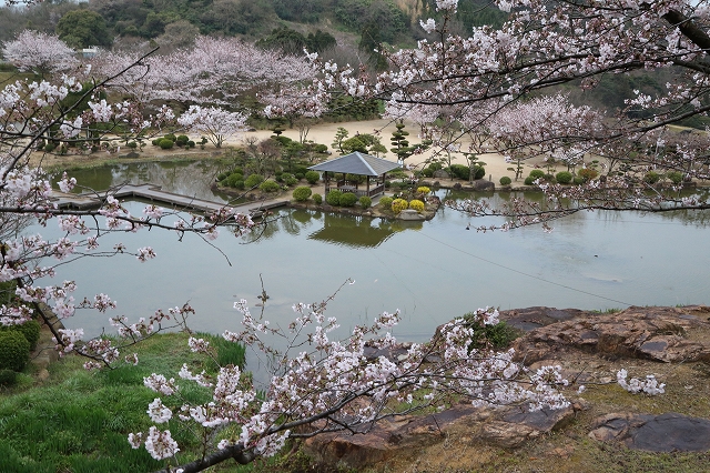 修景池全景