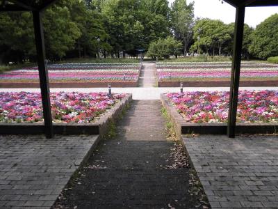 東出入口の花壇