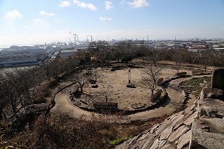 花と緑の丘公園の広場