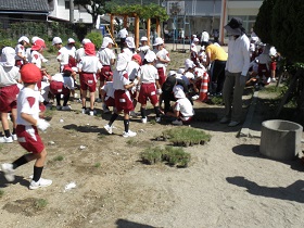 赤崎小学校植栽の様子３