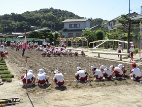 赤崎小学校植栽の様子２