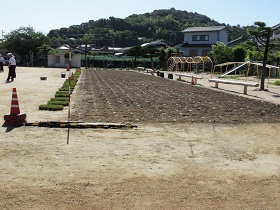 赤崎小学校植栽の様子１