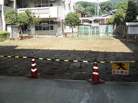 児島小学校植栽直後