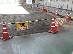 児島小学校芝生植栽の様子３