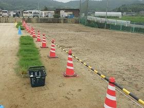 薗小学校芝生植栽前