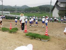 薗小学校芝生植栽の様子２