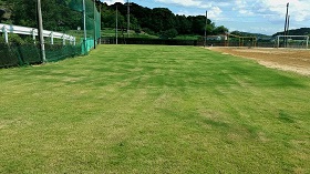 薗小学校芝生現在の状況