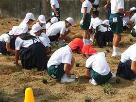 旭丘小学校植栽の様子３