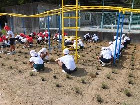 旭丘小学校植栽の様子４