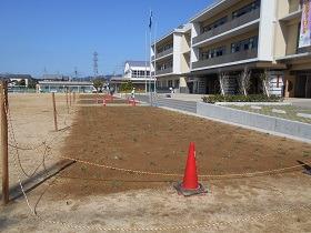 玉島小学校植栽直後の様子