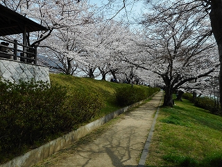 東屋