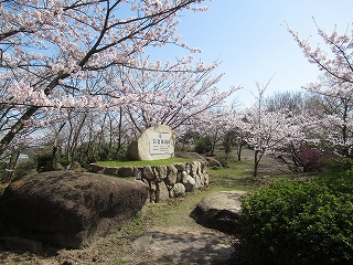 通路の花