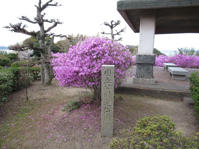 東屋付近