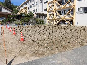 植栽風景１