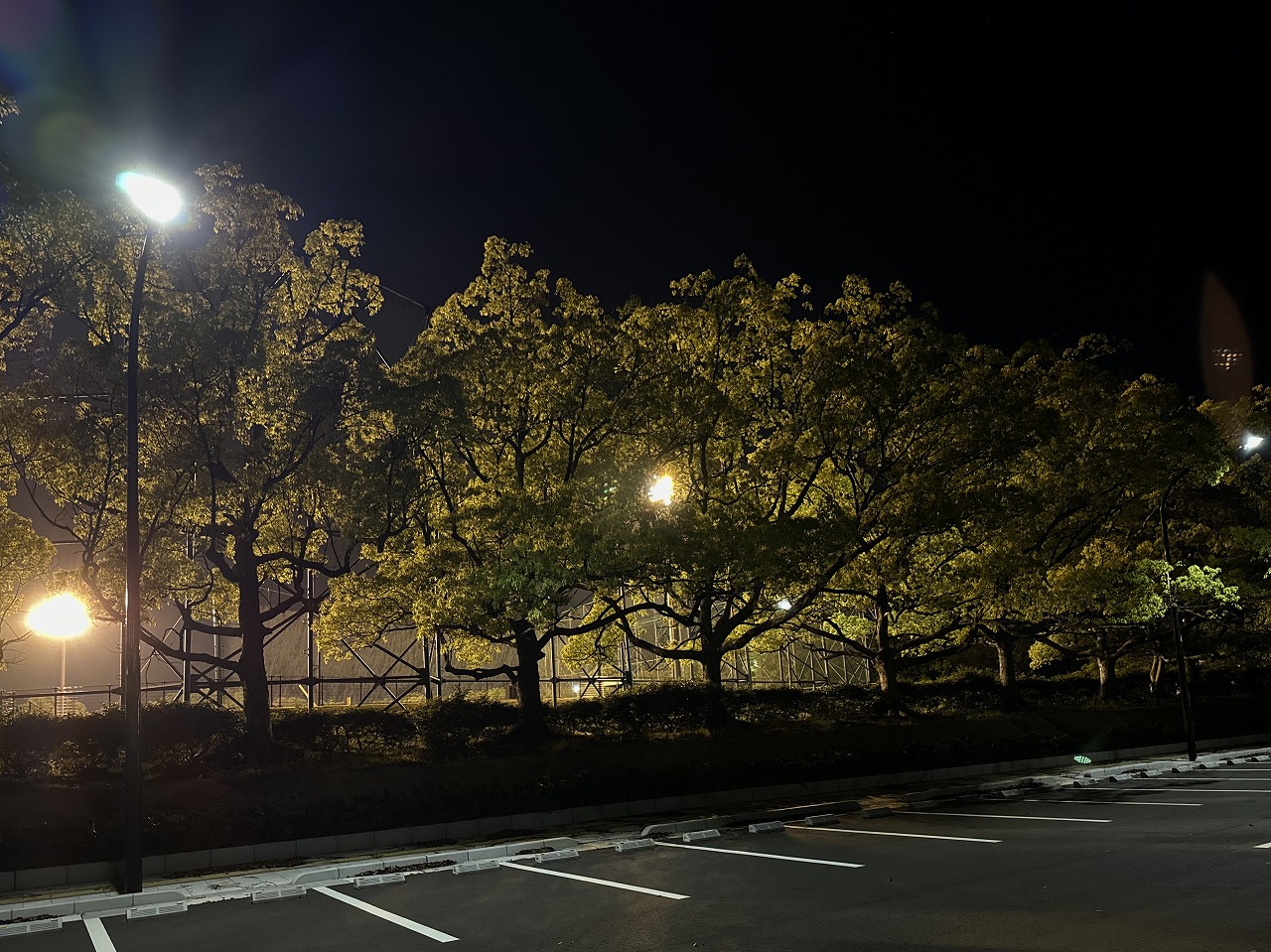 水島福田公園照明編集夜写真です