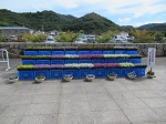 花の寄せ植え展示