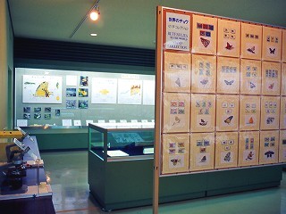 特別展示室の様子